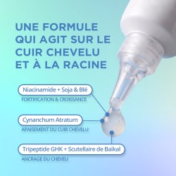 ULTRACAPIL PROGRAM