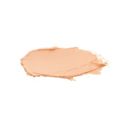 Teint compact perfecteur 1260