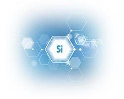 Le Silicium