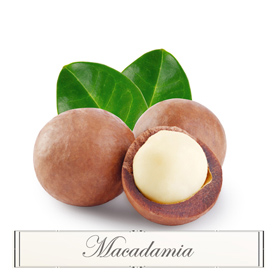 Macadamia