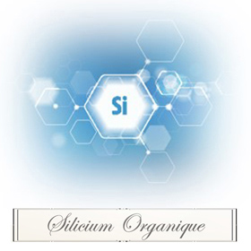 Le Silicium organique